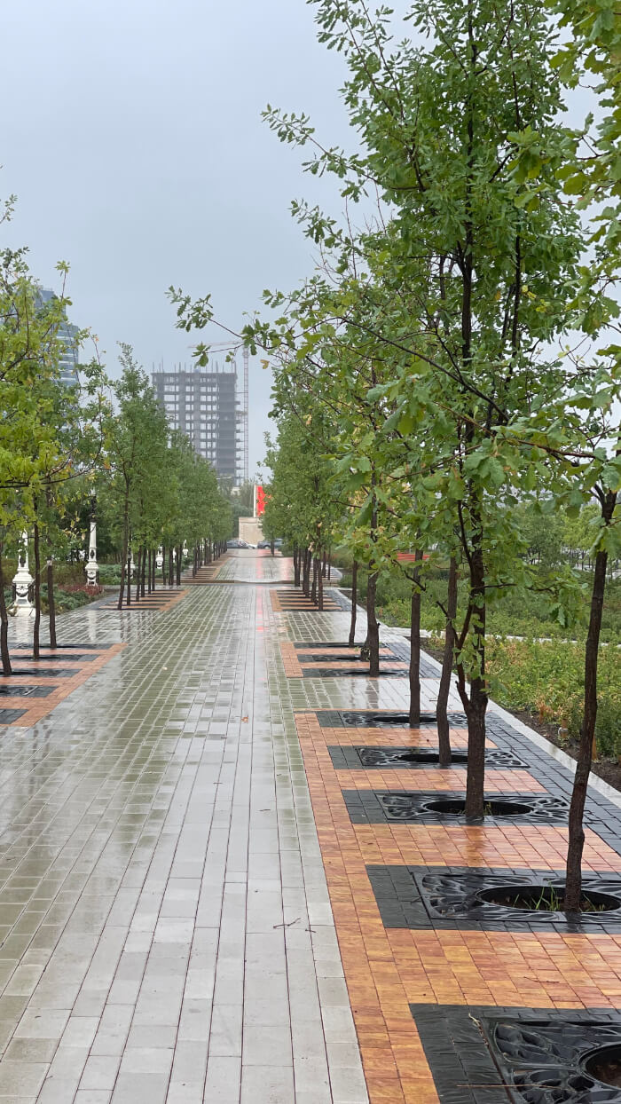 Приствольная решетка для дерева ZKING CRUST 1.2х1.2м Черная в Рубцовске фото