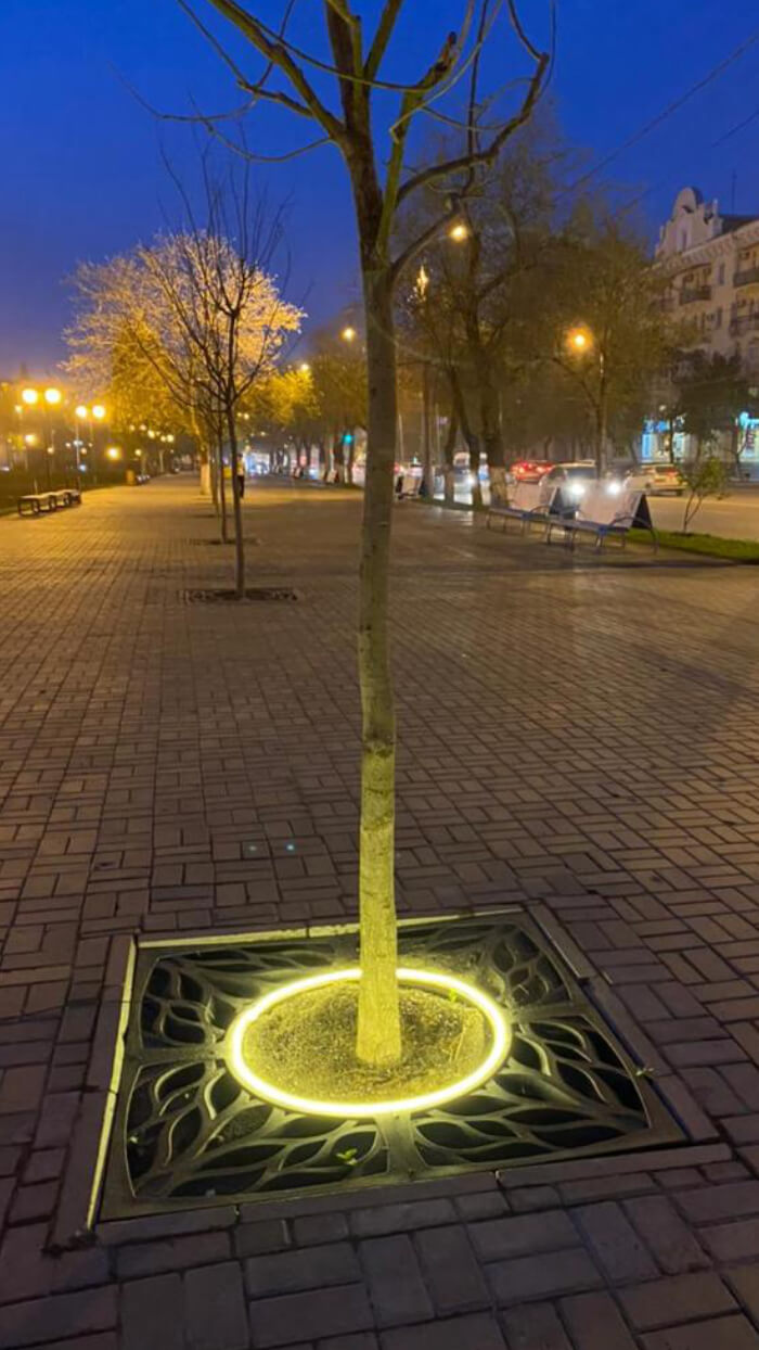 Приствольная решетка для дерева ZKING CRUST 1.2х1.2м Черная в Рубцовске фото